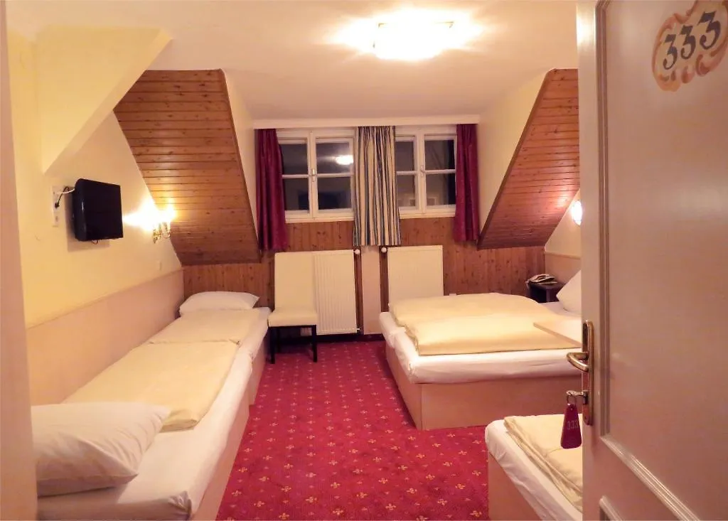 Hotel Turnerwirt Solnohrad 3*,